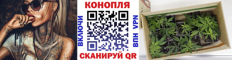 Бошки марихуана AK-47  закладки  Любим 